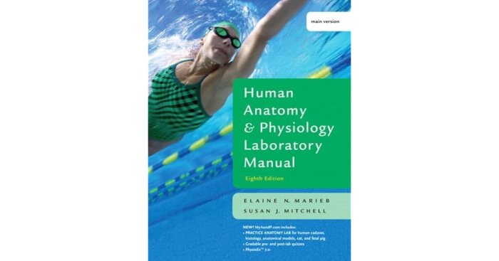 Anatomy physiology lab manual answers