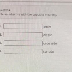 Cita date en espanol 5b 4 answers