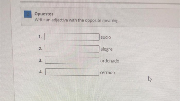 Cita date en espanol 5b 4 answers