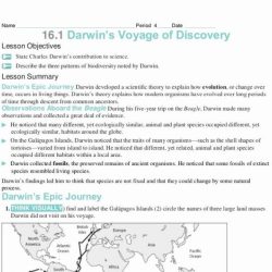 Darwin natural selection worksheet answers