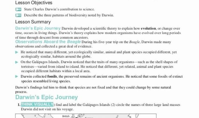 Darwin natural selection worksheet answers