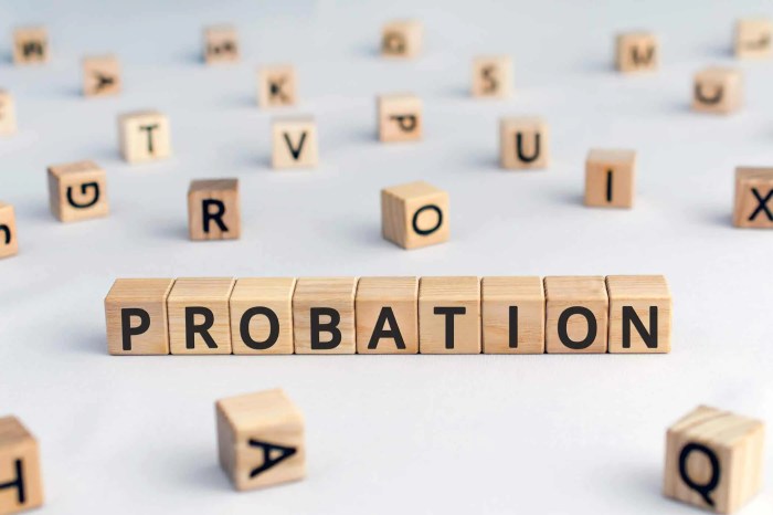 On which model is shock probation based