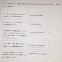 Organism life function performing reproduction obtaining match each excretion energy responding stimulus