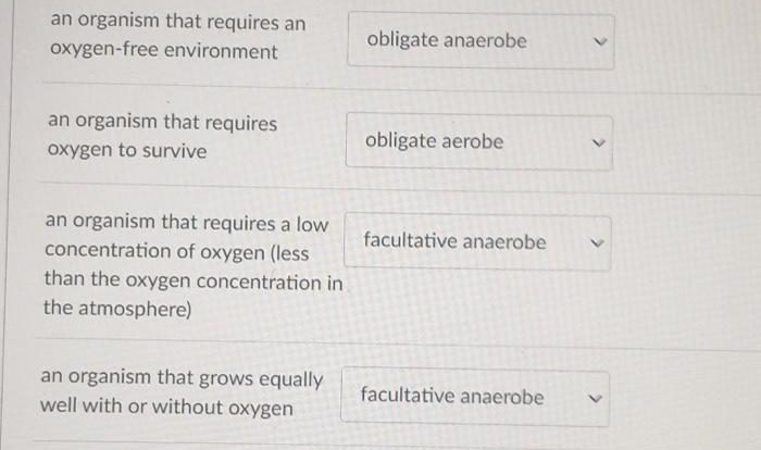 Organism life function performing reproduction obtaining match each excretion energy responding stimulus