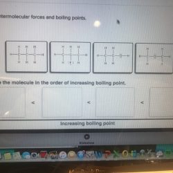 Order arrange compounds following boiling increasing point transcribed text show