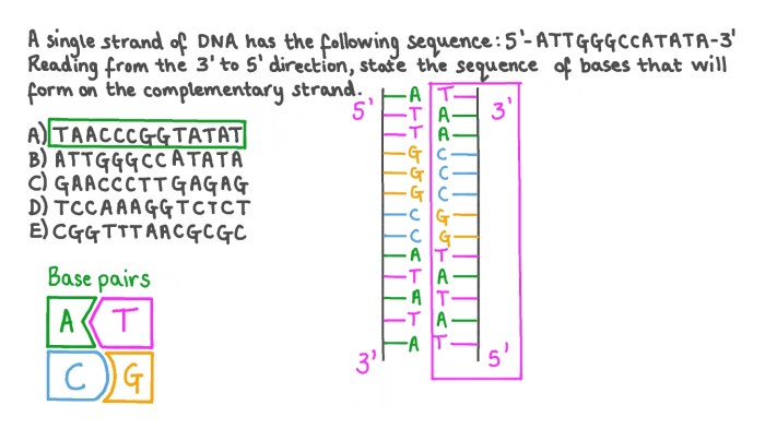 If a strand of dna has a nitrogen base sequence